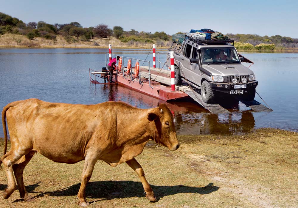 To exit Makgalagadi, you have to cross the Boteti River on a ferry.