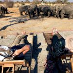 A good way to spend an afternoon on your way back to SA is relaxing at Elephant Sands. If you really want to get close to elephants, this is the place to go, although it’s a bit “commercial”.