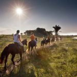 Horse riding is one of several activities offered near the town of St Lucia.