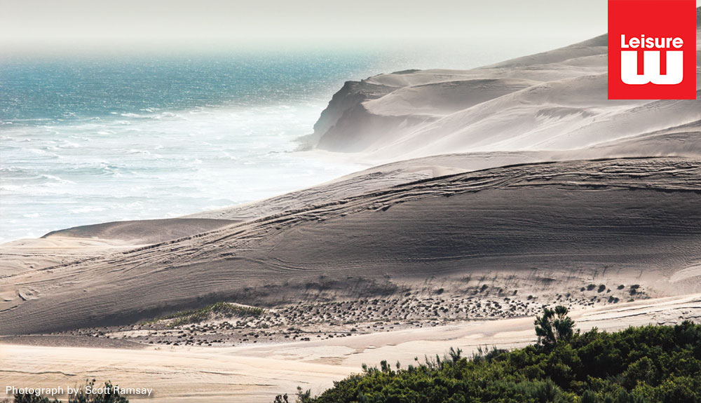 The coastal Alexandria dune field is the largest of its kind in the southern hemisphere, and lies adjacent to the Alexandria forest.