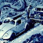 1956 vw beetle